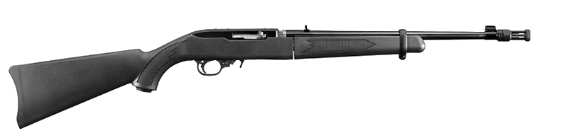 Ruger 10/22® TAKEDOWN 11112