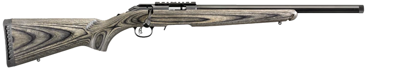 Ruger AMERICAN RIMFIRE TARGET
