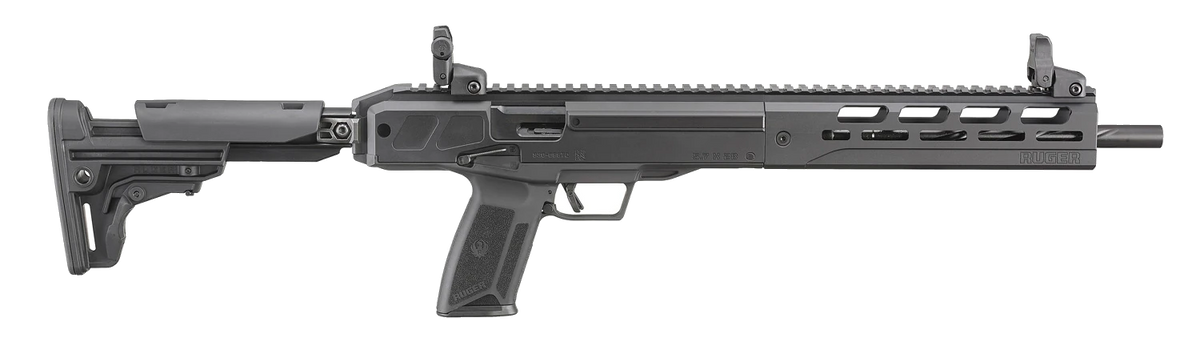 Ruger LC CARBINE™ 19301