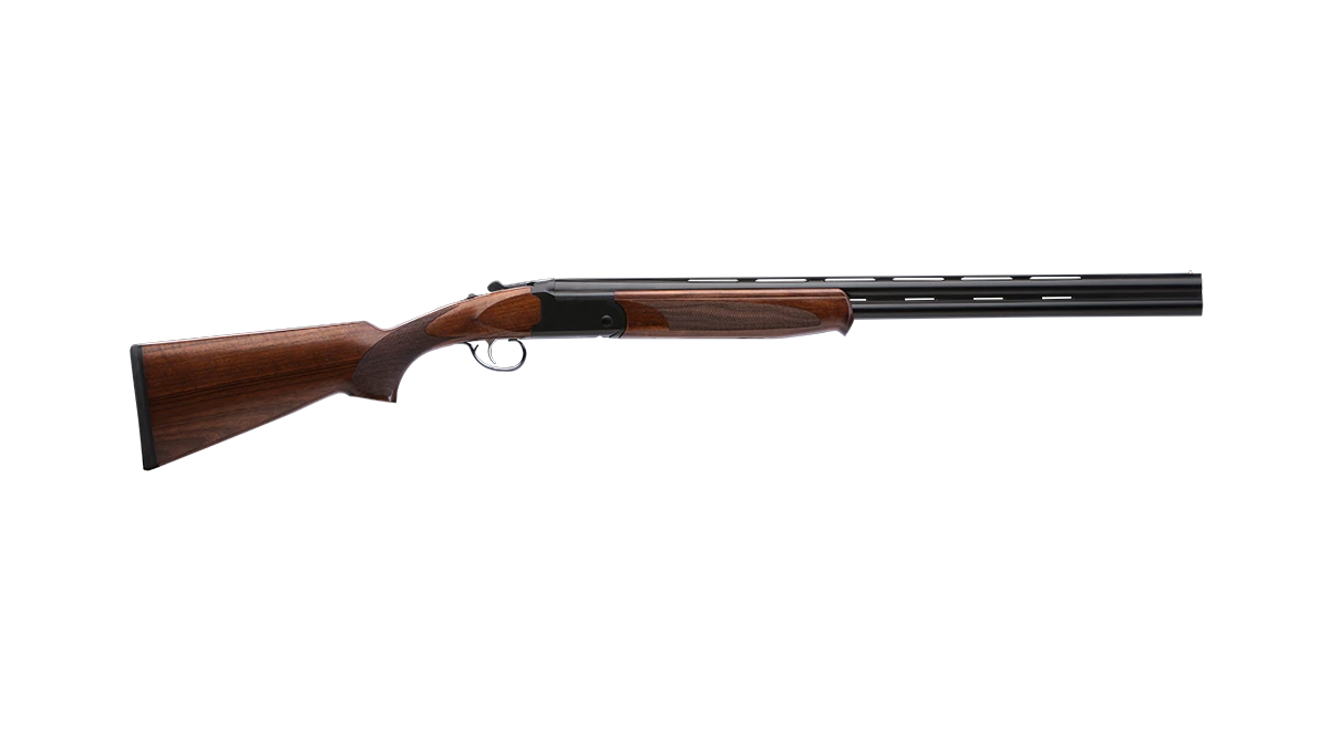 Savage Arms 555